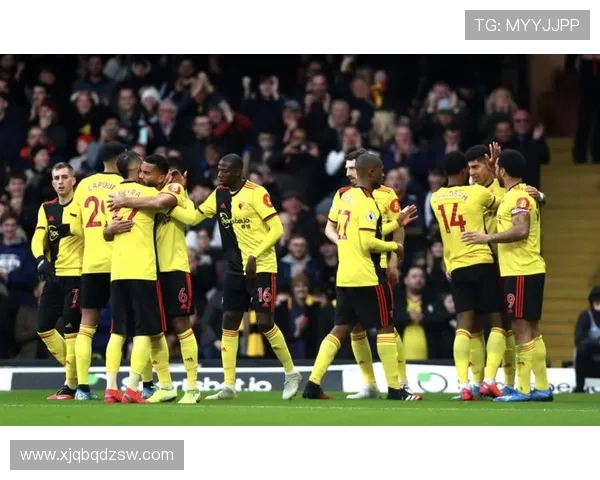 沃特福德俱乐部:历史、荣誉与未来展望 沃特福德俱乐部:历史、荣誉与未来展望